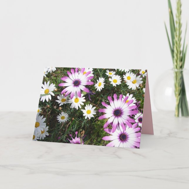 Cartão de Agradecimento do Jardim de Flores de Mar (Frente)