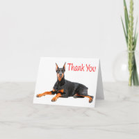 Doberman Pinscher Puppy Dog Red - Obrigado - Vazio