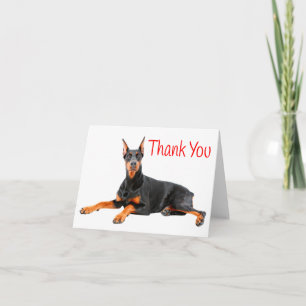 Cartão De Agradecimento Doberman Pinscher Puppy Dog Red Thank You - Blank