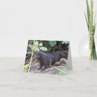 Cartão de Agradecimento Dobrado