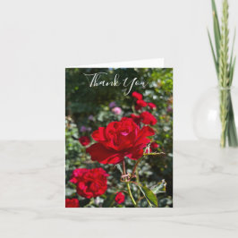 Cartão de agradecimento dobrado da Red Rose Photog
