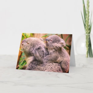 Cartão de Agradecimento Dobrado de Urso Coala Mãe