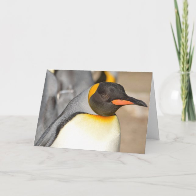 Cartão de Agradecimento DOBRADO PENGUIM (Frente)