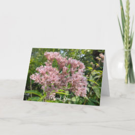 Cartão De Agradecimento Doce Joe Pye Weeds