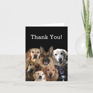 Cartão De Agradecimento Dog Lover Thank You Card