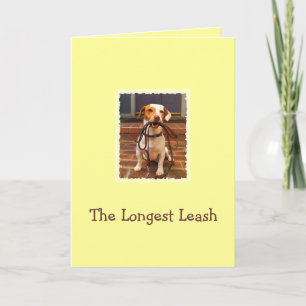 Cartão De Agradecimento Dog taking the Longest Leash home