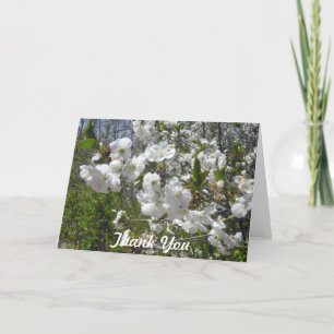Cartão De Agradecimento Dogwood Thank You Card