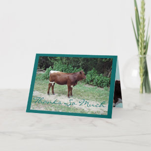 Cartão De Agradecimento Dsta-ThankYou-customize