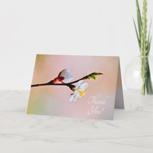 Cartão De Agradecimento Duas Lindas Flores Apricot Japonesas (Frente)