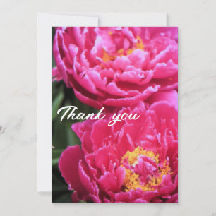 Cartão De Agradecimento Duas Pinturas de Sangue de Peony Fuchsia