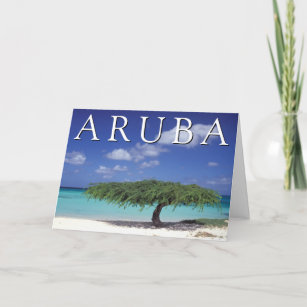 Cartão De Agradecimento Eagle Beach   Caribe, Aruba