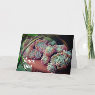 Cartão De Agradecimento Echeveria Rosa com vegetação suculenta