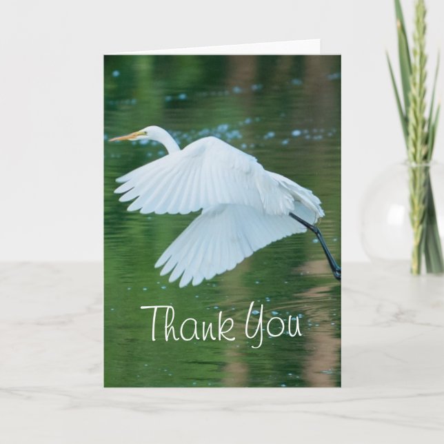 Cartão De Agradecimento Egret Branco do excelente (Frente)