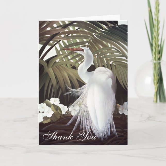 Cartão De Agradecimento Egret "obrigado que você" carda (Frente)