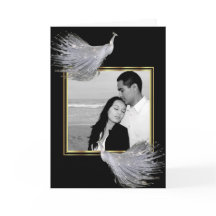 Elegância do pavão no obrigado preto, Dourado,