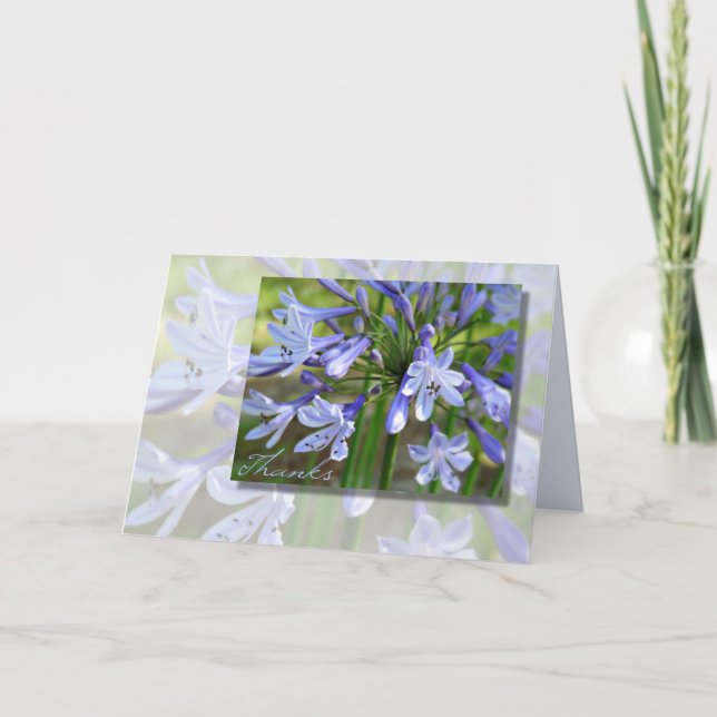 Cartão de Agradecimento Elegante Agapanthus Azul p (Frente)