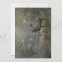 Elk Meadow Para Todas as Ocasões