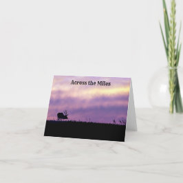 Cartão De Agradecimento Elk Silhouette no Sunset Greeting Card