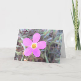 Cartão de agradecimento em branco com flor silvest