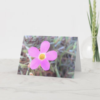 Cartão de agradecimento em branco com flor silvest