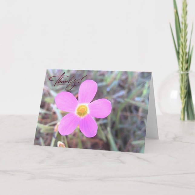 Cartão de agradecimento em branco com flor silvest (Frente)