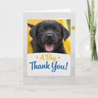 Cartão de Agradecimento Engraçado do Cachorrinho L