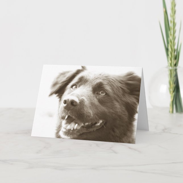 Cartão De Agradecimento Era excelente que vê o! (Frente)