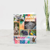 Espécies Ameaçadas de Extinção Australianas