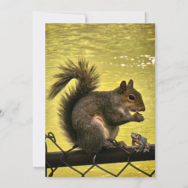 Cartão De Agradecimento Esquilo cinzento oriental (Sciurus carolinensis)  (Frente)