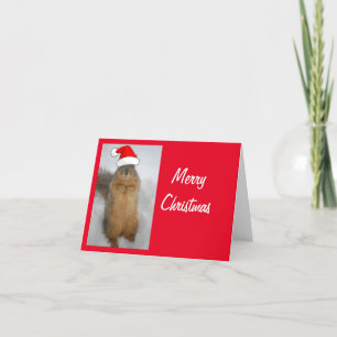 Cartão De Agradecimento Esquilo vestindo um Chapéu de Papai Noel no Natal