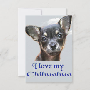 Cartão De Agradecimento Eu amo meu chihuahua