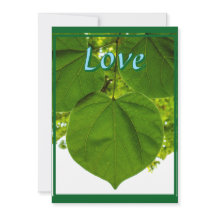 Eu te amo como as árvores amam o sol