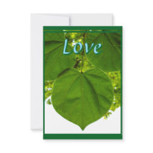 Eu te amo como as árvores amam o sol