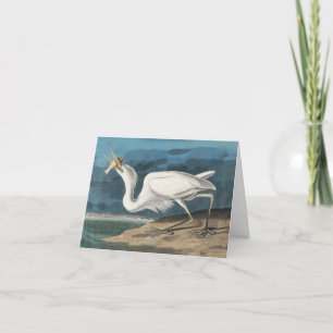 Cartão De Agradecimento Excelente White Heron Audubon Bird Willife Paintin