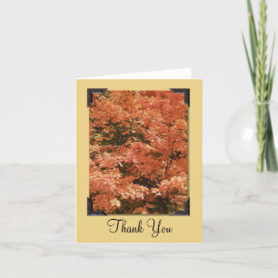 Cartão De Agradecimento Fall Orange Deixa Obrigado