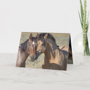 Cartão De Agradecimento Fallen Star e sua Mare Wilse Horse Greeting Card