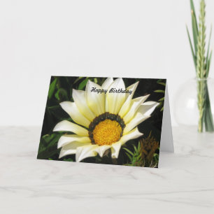 Cartão De Agradecimento Feliz aniversário