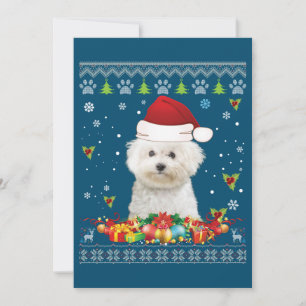 Cartão De Agradecimento Feliz Natal Bichons Frise Cachorro Feio