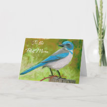 Ficha azul do dia de as mães