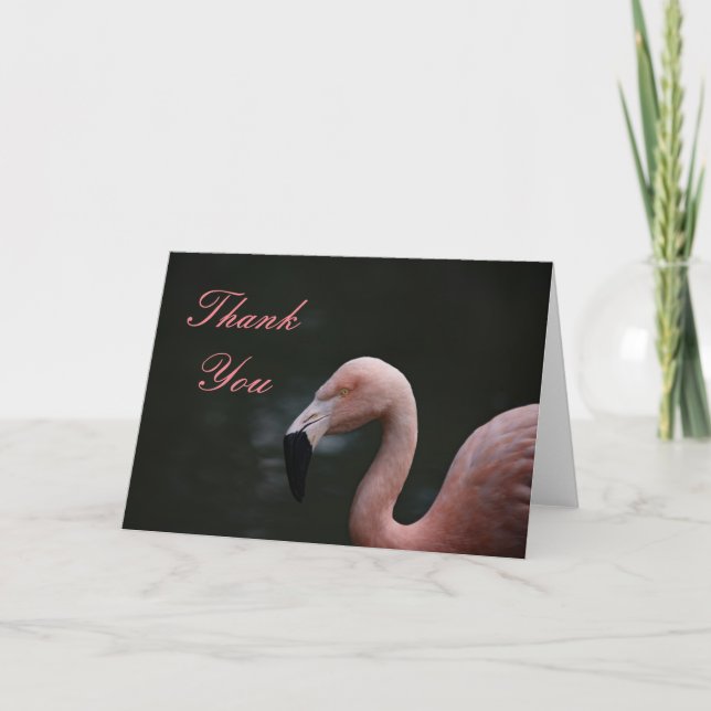 Cartão De Agradecimento Flamingo Rosa (Frente)