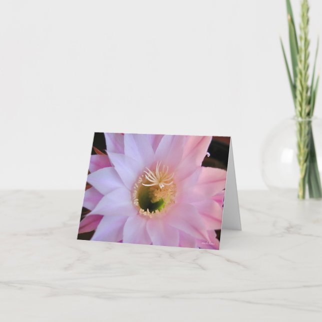 Cartão De Agradecimento Flor de cacto da Michelle (Frente)