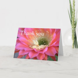 Cartão De Agradecimento Flor de cacto rosa no deserto, obrigado-te.