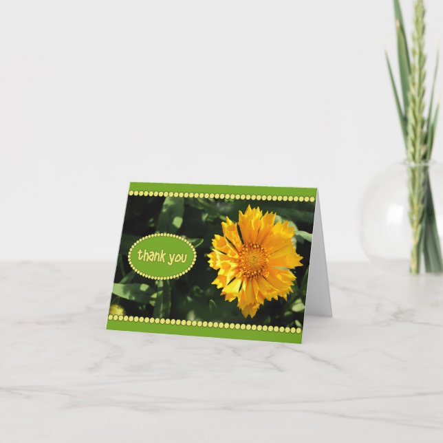 Cartão de Agradecimento Flor de Coreopsis Amarela (Frente)