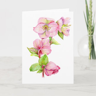 Cartão de Agradecimento - Flor de Hellebore Rosa