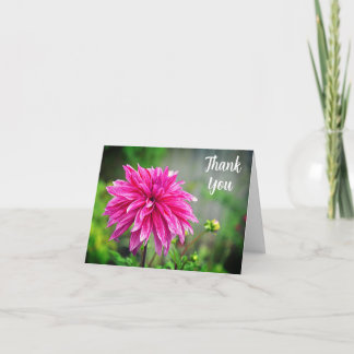 Cartão De Agradecimento Flor de Jardim Dahlia Rosa Elegante