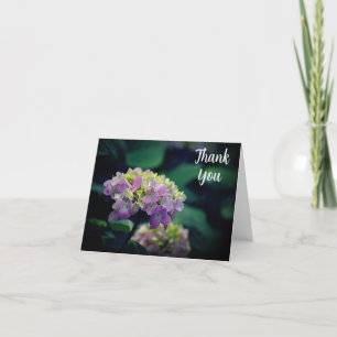 Cartão De Agradecimento Flor do Jardim de Hydrangea, rosa e branca