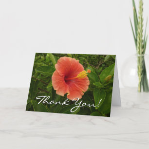 Cartão De Agradecimento Flor Hibisco Laranja Floral Tropical