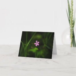 Cartão De Agradecimento Flor Rosa