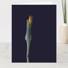 Cartão De Agradecimento Floral Hidden Beauty