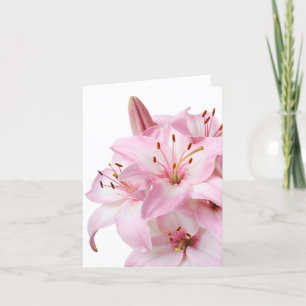 Cartão De Agradecimento Floral Pink Lily Flower Blank Notecard